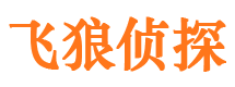 安化婚外情调查